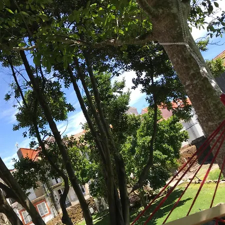 Lägenhet Estudio Outon 1